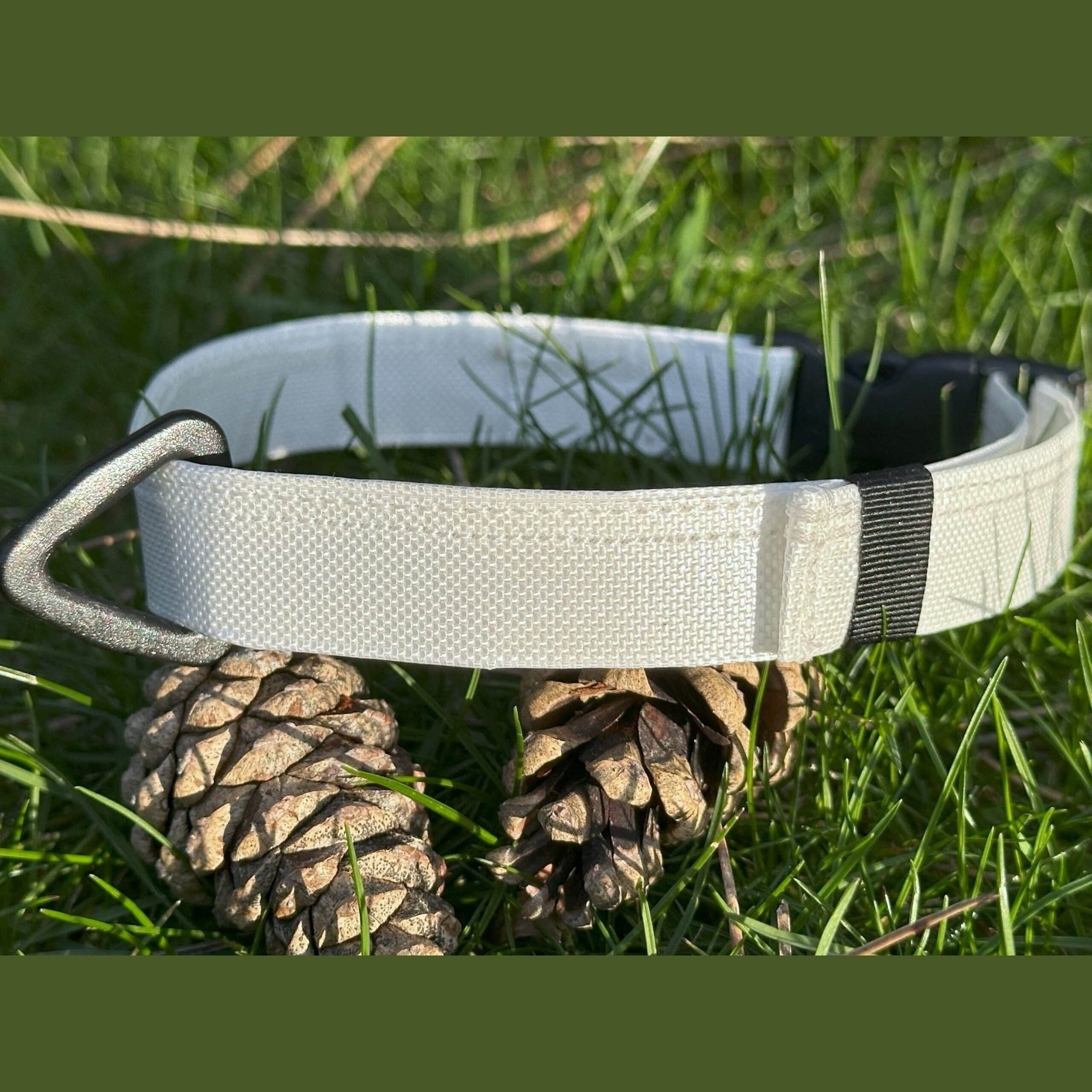 Ultralight Dog Collar Ultralight Dog Collar