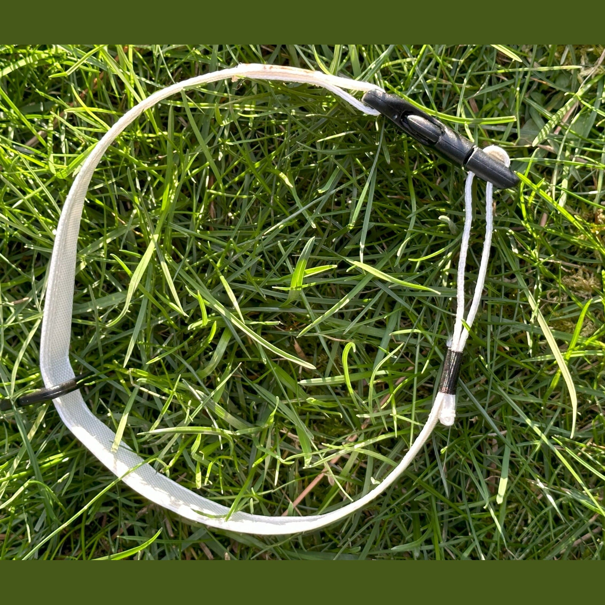 Ultralight Dog Collar Ultralight Dog Collar