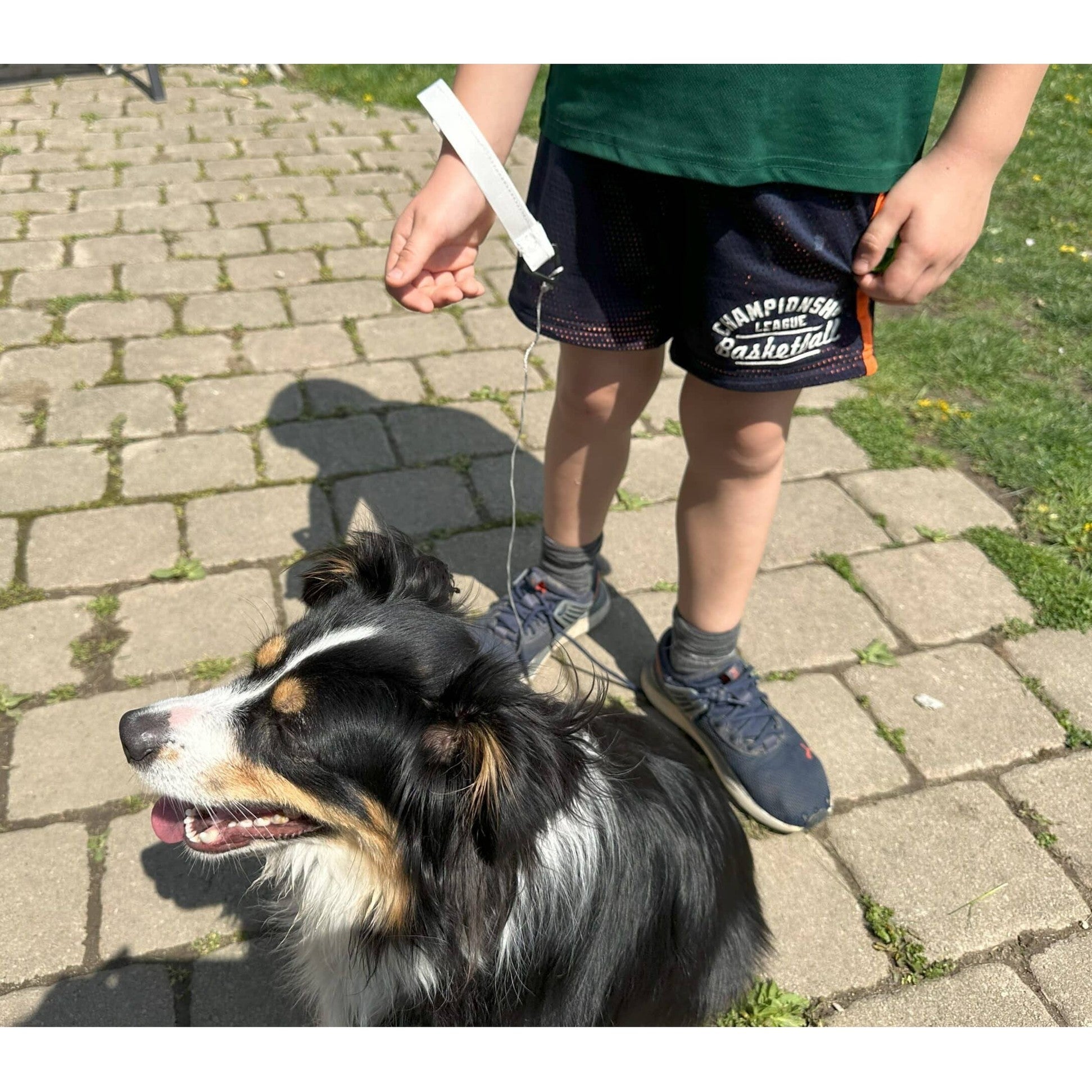 Ultralight Dog Leash Child holding an ultralight dog leash while walking a playful dog on a sunny day outdoors