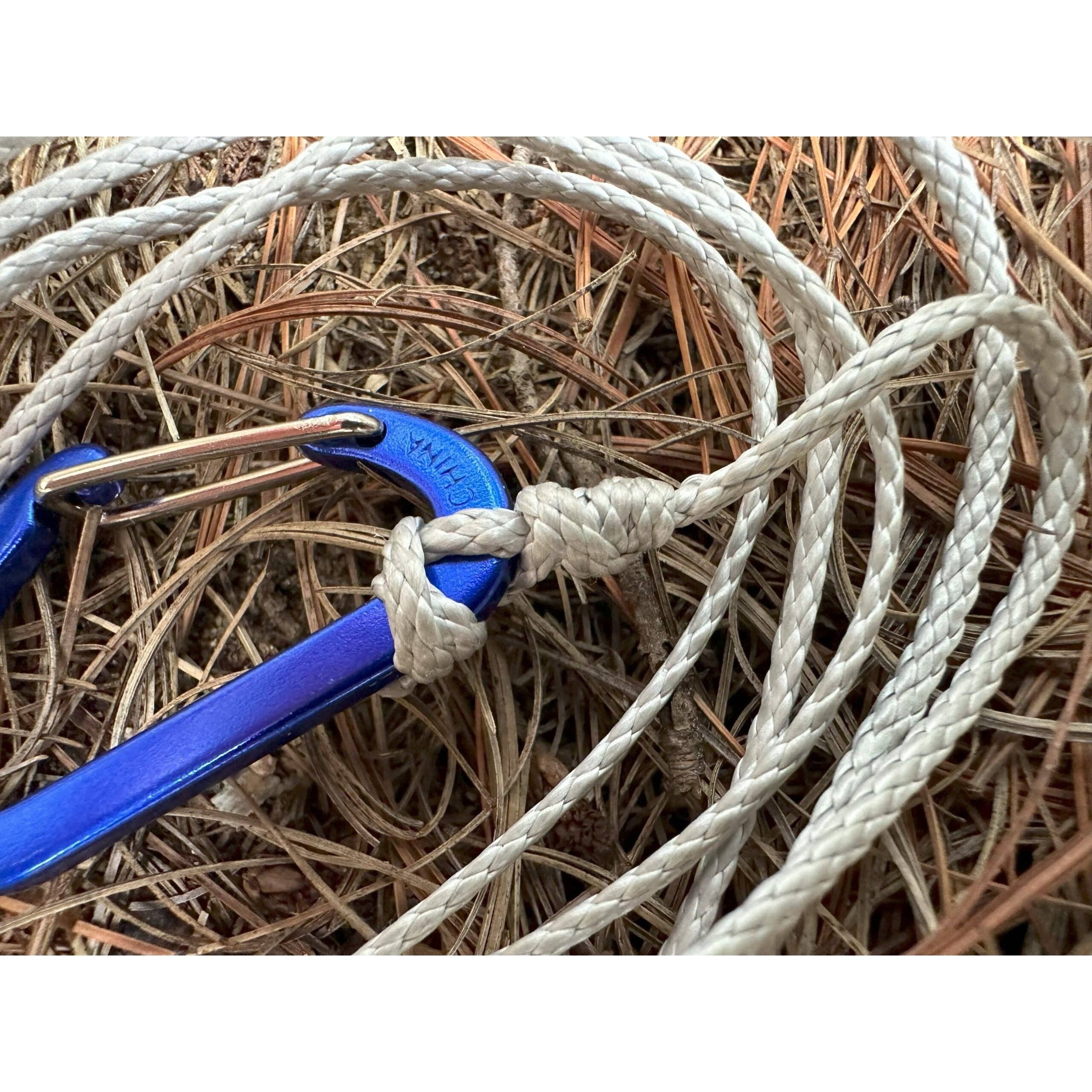 Ultralight Dog Leash Close-up of an ultralight dog leash with a secure knot and durable carabiner for small pets