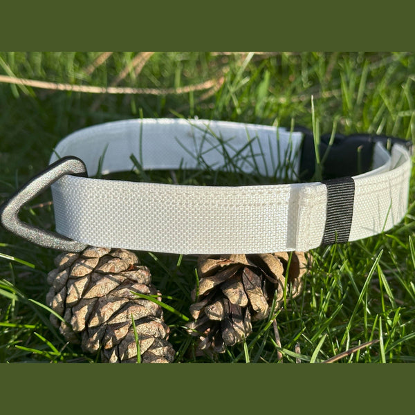 Ultralight Dog Collar